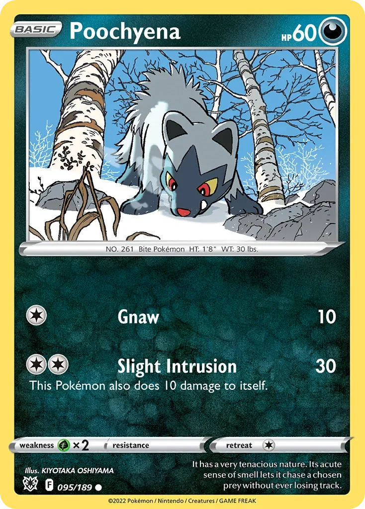 095/189 from Astral Radiance Common Pokemon Card