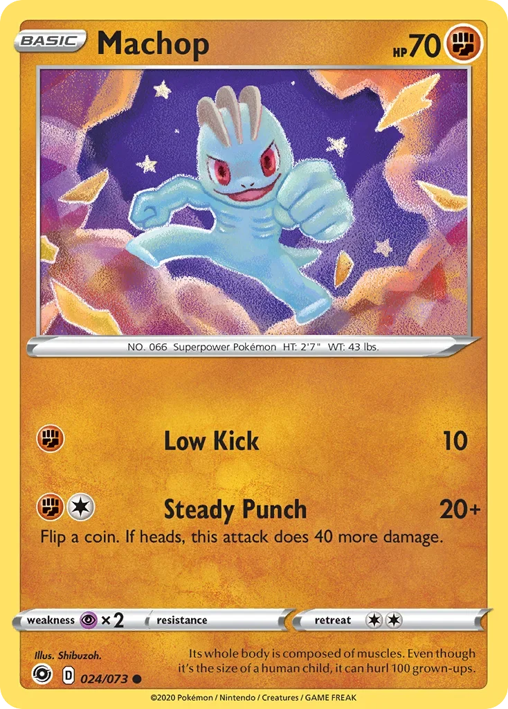 24/73 from Champion's Path Common Pokemon Card