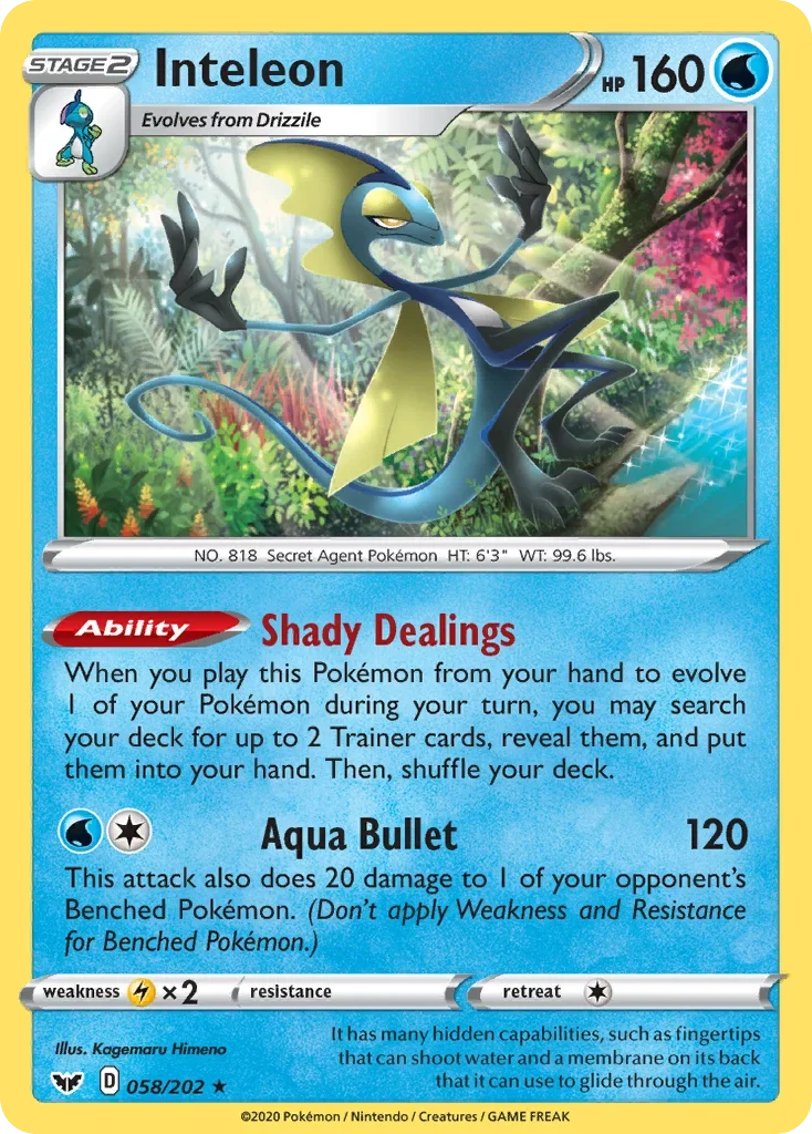 058/202 from Sword & Shield Holo Rare Pokemon Card
