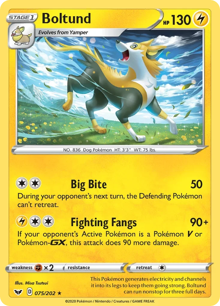 075/202 from Sword & Shield Holo Rare Pokemon Card