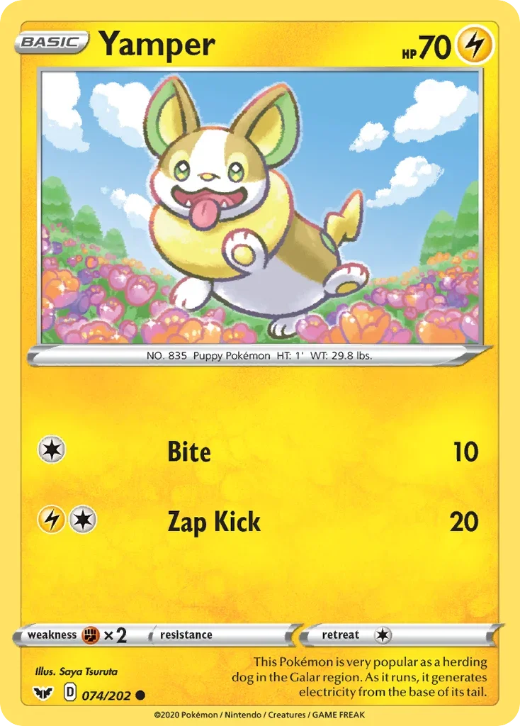 074/202 from Sword & Shield Common Pokemon Card