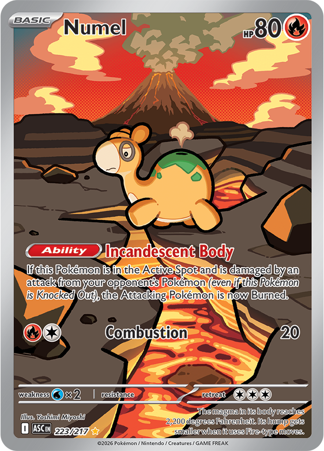 223/217 from Ascended Heroes Illustration-rare