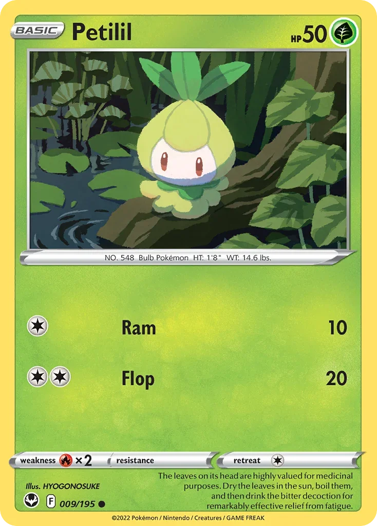 009/195 from Silver Tempest Common Pokemon Card