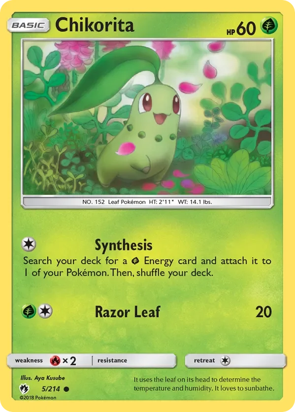 5/214 from Lost Thunder Common Pokemon Card