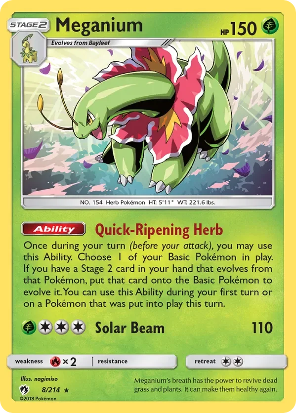 8/214 from Lost Thunder Holo Rare Pokemon Card